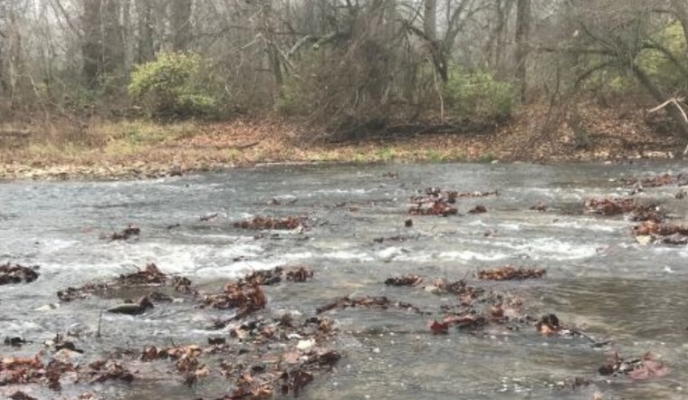 Ohio's Stillwater River Flows Free Once More: Covington Dam Removed in H2Ohio Initiative Triumph