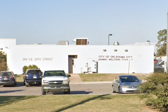 Oklahoma City Animal Shelter Seeks Community Aid to Sustain Pet Food Pantry