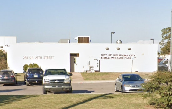 Oklahoma City Animal Shelter Seeks Community Aid to Sustain Pet Food Pantry