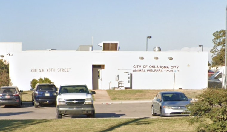 Oklahoma City Animal Shelter Seeks Community Aid to Sustain Pet Food Pantry