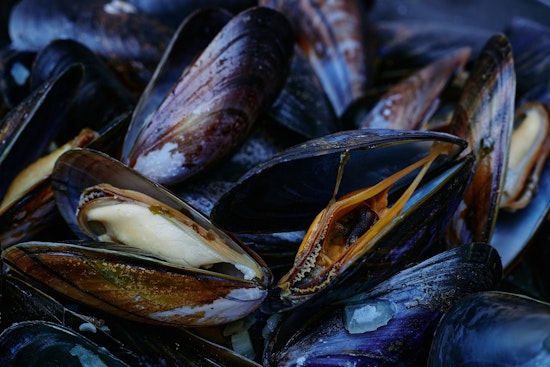 Oregon Authorities Close South Coast Mussel Harvesting Due to Toxin Concerns, Razor Clams Also Affected