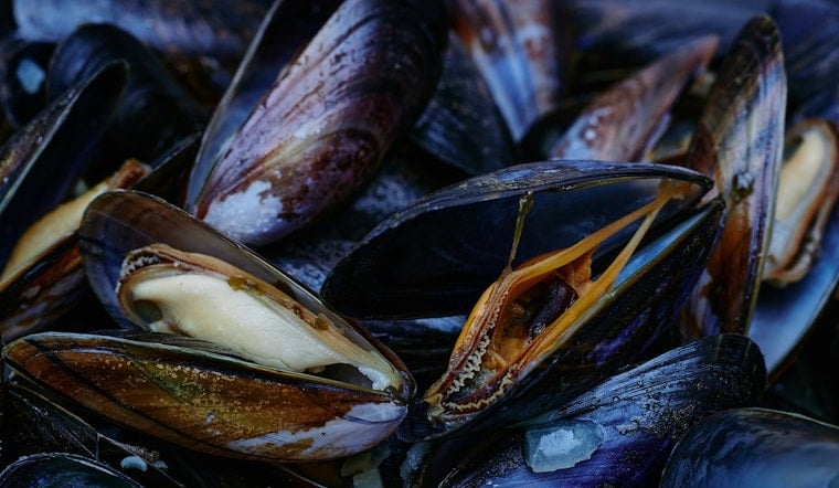 Oregon Authorities Close South Coast Mussel Harvesting Due to Toxin Concerns, Razor Clams Also Affected