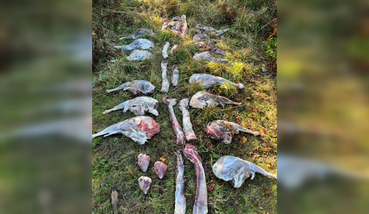 Oregon State Police Seek Public Help to Identify Suspects in Illegal Deer Dumping in Clackamas County