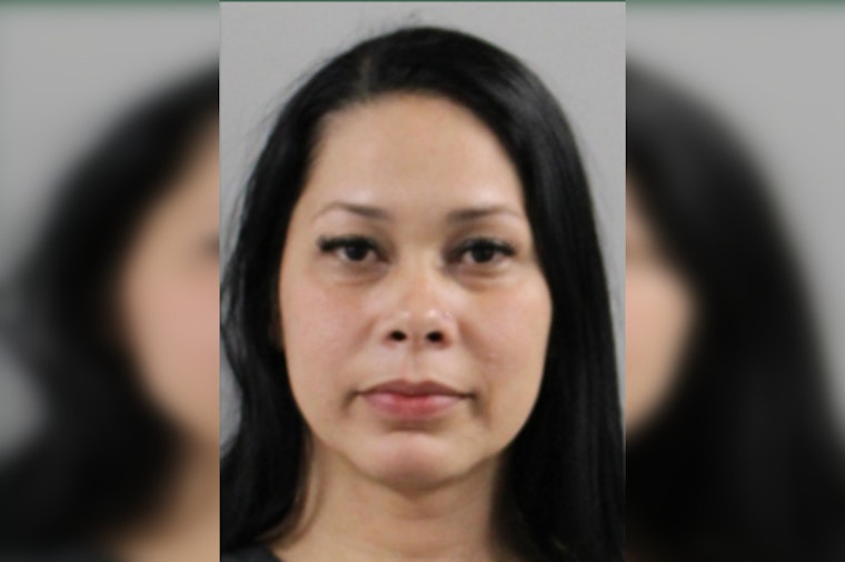 Orlando Woman Arrested for Reckless Driving After Speeding at 113 mph on I-4 Near Polk City