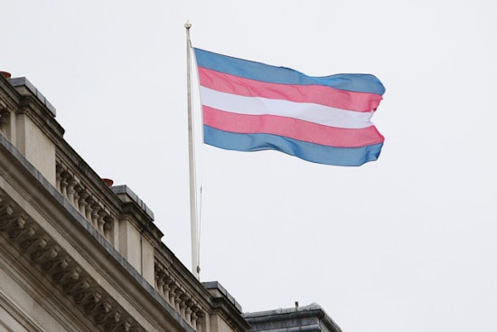 Over 400 Trans Pride Flags Ripped from Memorial in Boston, Advocates Demand Hate Crime Probe