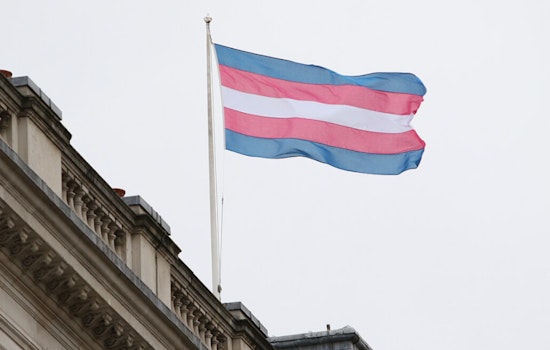 Over 400 Trans Pride Flags Ripped from Memorial in Boston, Advocates Demand Hate Crime Probe