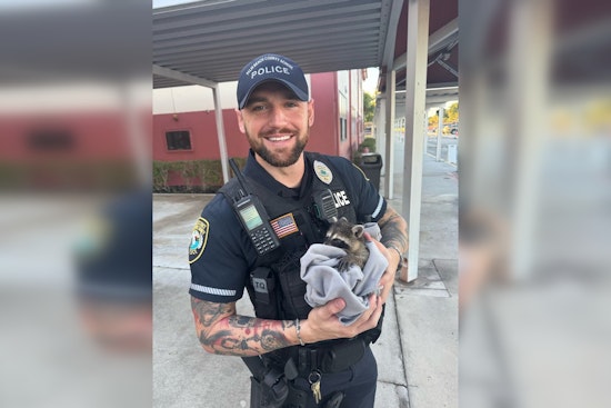 Palm Beach School Officer Rescues Baby Raccoon from Drain During Morning Drop-Off
