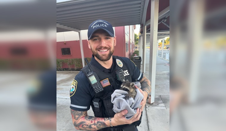 Palm Beach School Officer Rescues Baby Raccoon from Drain During Morning Drop-Off