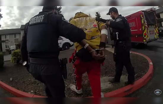Parkland Police Arrest Man After 'Frogger'-Style Highway Escape and Foot Chase
