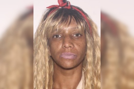 Pasco Sheriff's Office Seeks Public Help in Locating Missing 27-Year-Old Autumn Siple in Holiday Area
