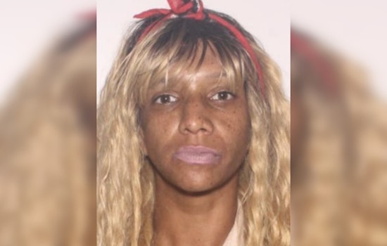 Pasco Sheriff's Office Seeks Public Help in Locating Missing 27-Year-Old Autumn Siple in Holiday Area