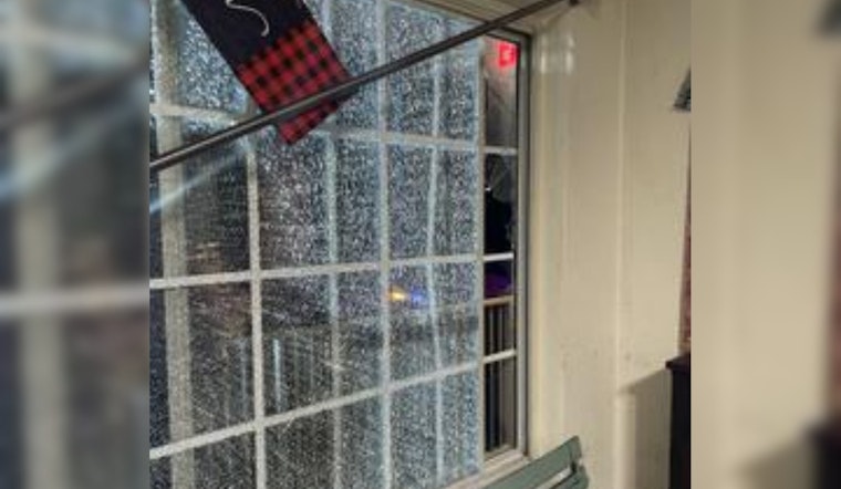Petaluma Man Accused of Vandalism and Trespassing in Studio Complex Disturbance