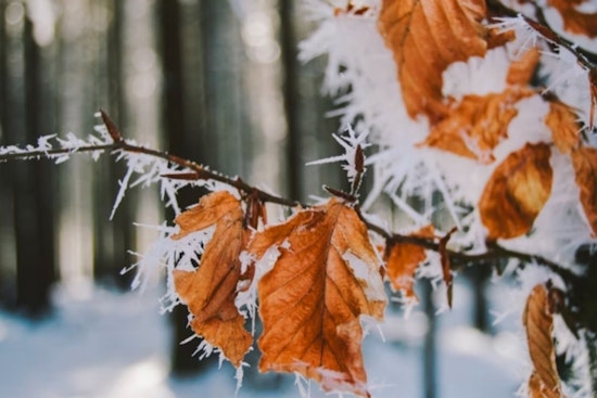 Philadelphia Braces for Frost and Fire Risk as Weather Advisory Highlights Seasonal Shifts