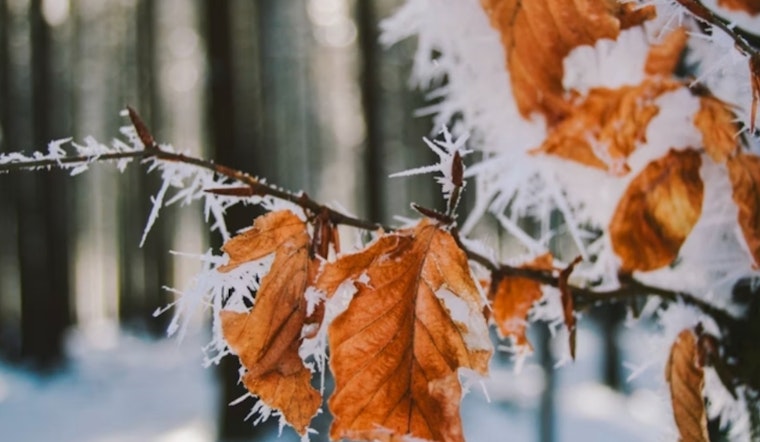 Philadelphia Braces for Frost and Fire Risk as Weather Advisory Highlights Seasonal Shifts