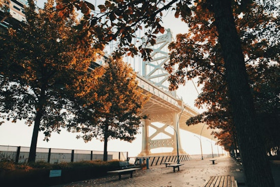 Philadelphia Faces Foggy Morning with Rising Humidity, Sunny Skies to Follow