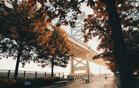 Philadelphia Faces Foggy Morning with Rising Humidity, Sunny Skies to Follow