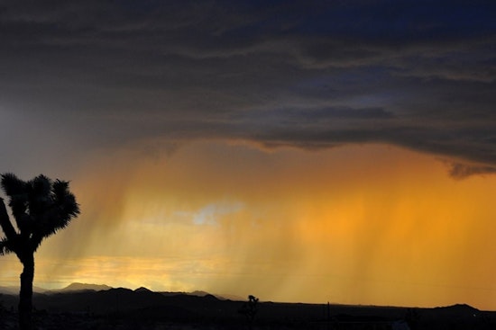 Phoenix Braces for Rare Autumn Rain, Thunderstorms Expected to Douse the City