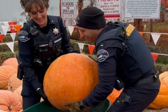 Pierce County Sheriff's Department Embraces Halloween Spirit with "Gourd-geous" Pumpkin and Humor