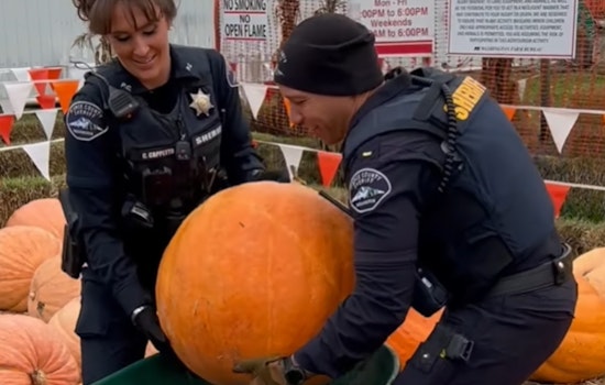 Pierce County Sheriff's Department Embraces Halloween Spirit with "Gourd-geous" Pumpkin and Humor