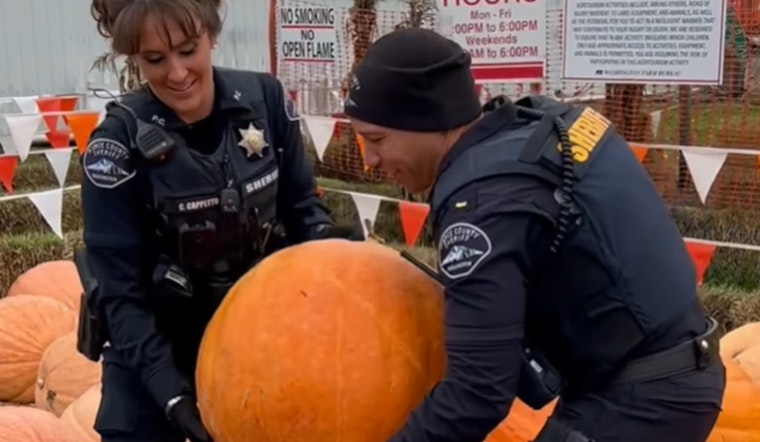 Pierce County Sheriff's Department Embraces Halloween Spirit with "Gourd-geous" Pumpkin and Humor