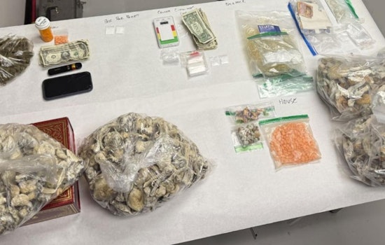 Pleasant Hill Resident Charged With Multiple Felony Drug Offenses After Livermore Traffic Stop Reveals Narcotic Haul