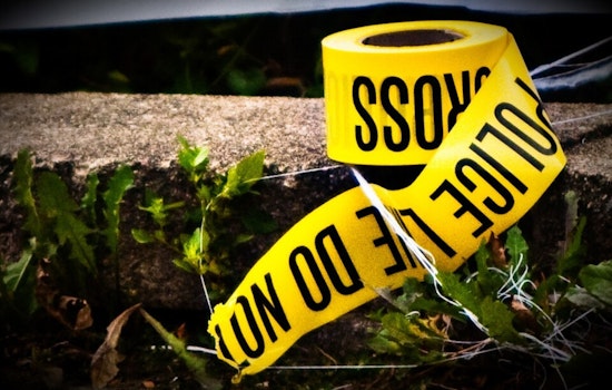 Police Probe Underway After Discovery of Human Skull in Wayne, Possibly Linked to Previous Skeletal Find Nearby