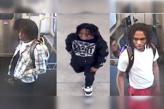 Police Seek Suspects in Green Line Robbery at 35th St. in Bronzeville, Chicago
