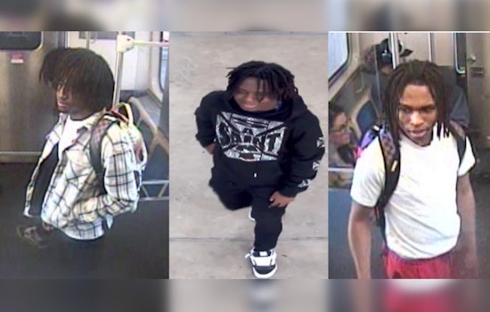 Police Seek Suspects in Green Line Robbery at 35th St. in Bronzeville, Chicago