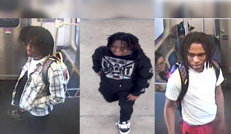 Police Seek Suspects in Green Line Robbery at 35th St. in Bronzeville, Chicago