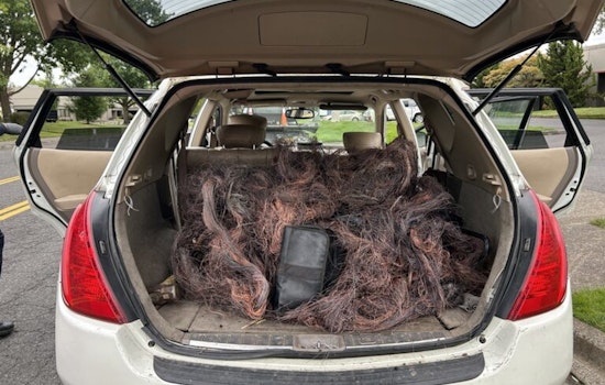 Portland Police Crack Down on Copper Theft Ring, Multiple Arrests Made