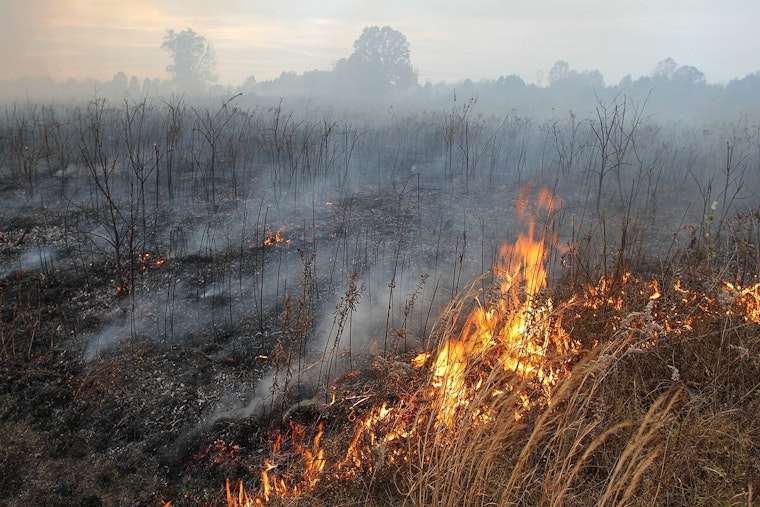 Prescribed Burns on Fort Apache Indian Reservation to Commence November 3 in Fire Prevention Effort