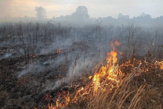 Prescribed Burns on Fort Apache Indian Reservation to Commence November 3 in Fire Prevention Effort
