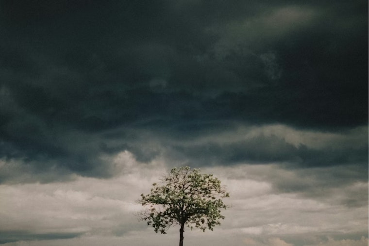 Rainy Afternoon and Evening in Store for Salt Lake City, Unsettled Week Ahead