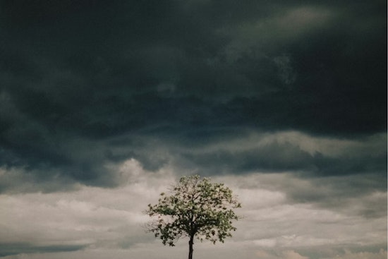 Rainy Afternoon and Evening in Store for Salt Lake City, Unsettled Week Ahead