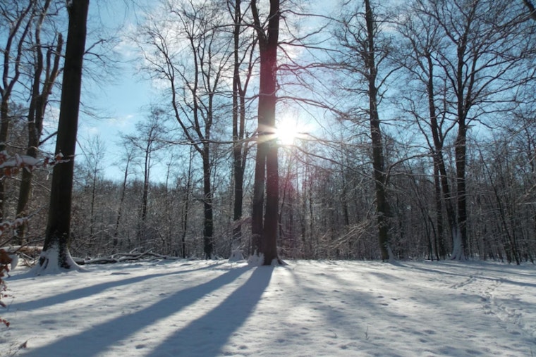 Raleigh Braces for Chilly Blast as NWS Forecasts Sub-Freezing Temperatures This Weekend