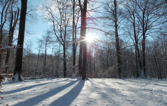 Raleigh Braces for Chilly Blast as NWS Forecasts Sub-Freezing Temperatures This Weekend