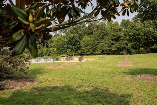 Raleigh City Farm Expands Green Space with New Urban Farming Venture at Marsh Creek Park