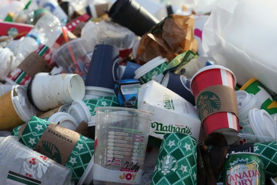 Report Slams NYC's Exclusion of Recycling from Waste Bin Efforts as New Administration Considers Inclusive Strategy