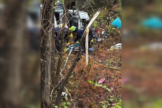 Rural Metro Fire Braves Peril to Rescue Victim from Near Sewage Pond Crash on Tazewell Pike