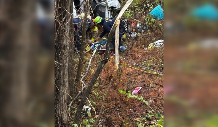 Rural Metro Fire Braves Peril to Rescue Victim from Near Sewage Pond Crash on Tazewell Pike