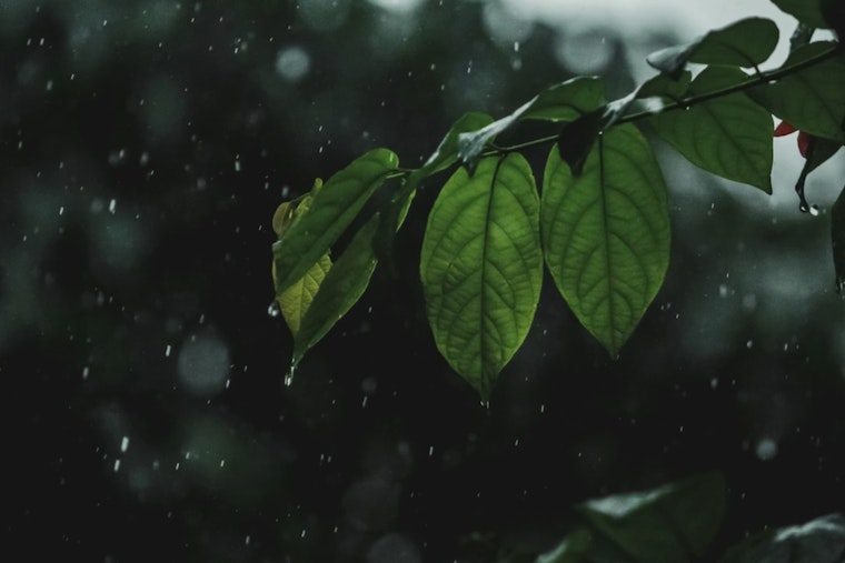San Antonio Braces for Days of Rain and Thunderstorms, National Weather Service Advises Caution