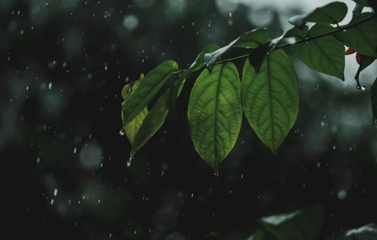 San Antonio Braces for Days of Rain and Thunderstorms, National Weather Service Advises Caution