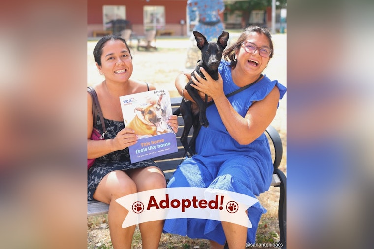 San Antonio Honors Military Service Members with Free Pet Adoptions for Veterans Day