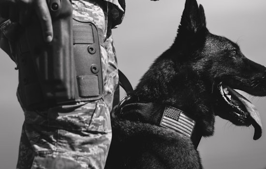 San Antonio-Linked Black Rifle, Born Primitive Race To Wipe $25M In Vets’ Medical Debt