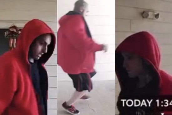San Antonio Police Seek Suspect Accused of Strangling Kitten, Caught on Video in Apartment Complex