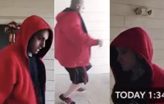 San Antonio Police Seek Suspect Accused of Strangling Kitten, Caught on Video in Apartment Complex