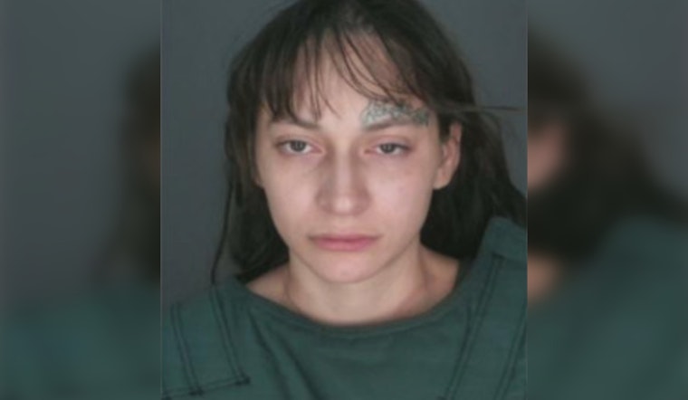 San Bernardino Suspect Charged in Fatal DUI Crash That Killed Two, Injured Three Children