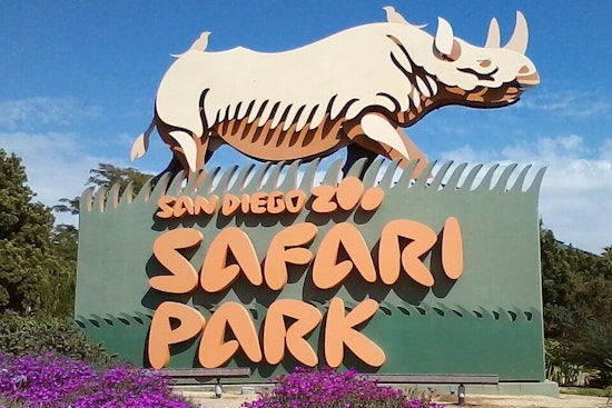 San Diego Zoo Safari Park Set to Open Denny Sanford Elephant Valley in March 2026