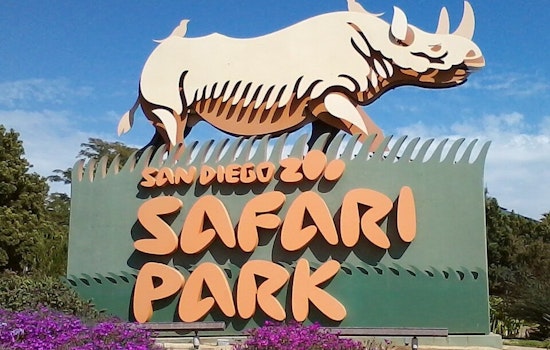 San Diego Zoo Safari Park Set to Open Denny Sanford Elephant Valley in March 2026