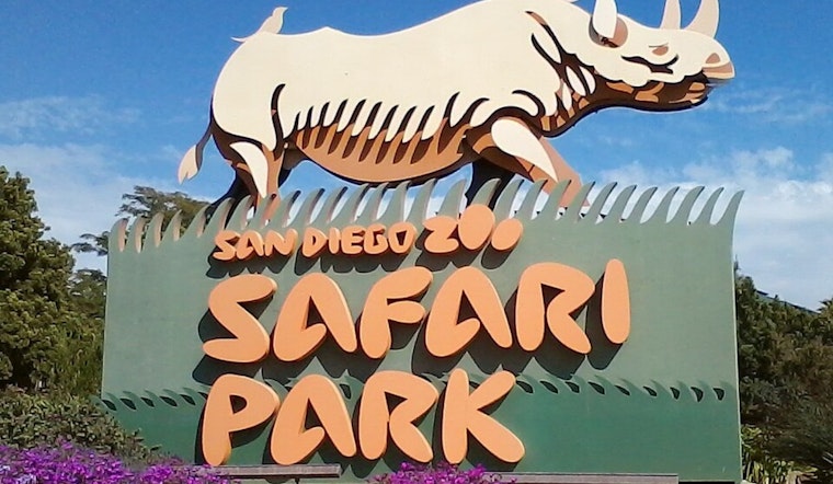 San Diego Zoo Safari Park Set to Open Denny Sanford Elephant Valley in March 2026